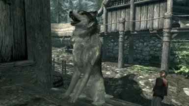 Very happy doggo!
