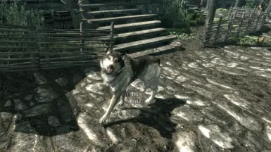 Meeko