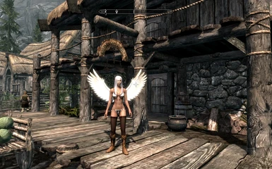 test with wings and boots