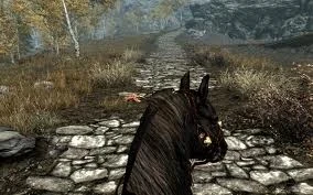 First Person Horse Riding ITA