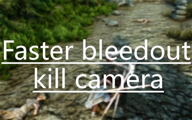 Faster bleedout kill camera