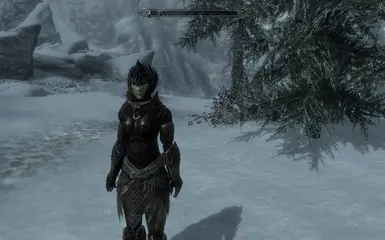 Elven 4