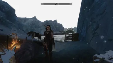 Rhanusia camped off the Winterhold Coast
