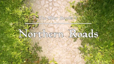 Northern Roads LE Port