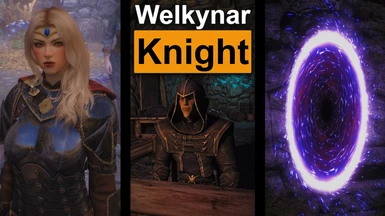 The Welkynar Knight - Quest LE