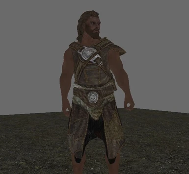 New hide armor now has proper chest protection.
