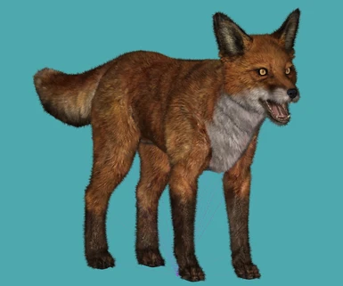 Red Fox (after)