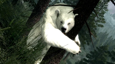 Tree-hugging snow bear