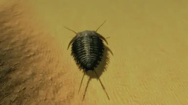 Trilobite