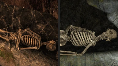 Noridc Burial Skeletons