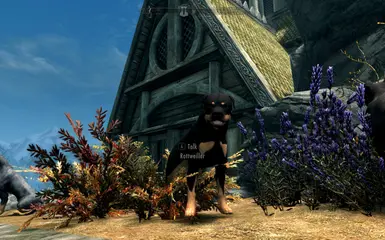 PT-BR) Dovah Dogs - Dovahkiin's Best Friend at Skyrim Special