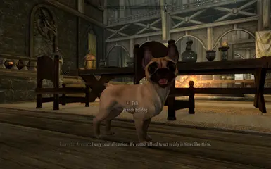 PT-BR) Dovah Dogs - Dovahkiin's Best Friend at Skyrim Special