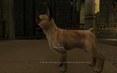 PT-BR) Dovah Dogs - Dovahkiin's Best Friend at Skyrim Special