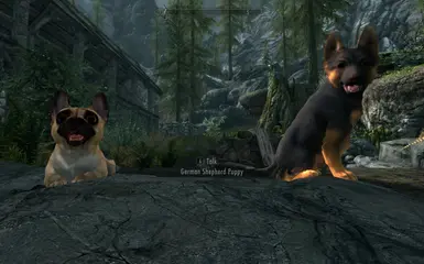 PT-BR) Dovah Dogs - Dovahkiin's Best Friend at Skyrim Special