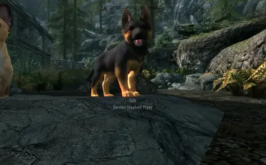 PT-BR) Dovah Dogs - Dovahkiin's Best Friend at Skyrim Special