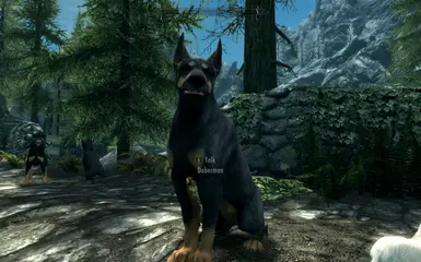 PT-BR) Dovah Dogs - Dovahkiin's Best Friend at Skyrim Special