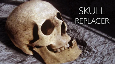 Skulls Replacer HD by iimlenny - My version LE