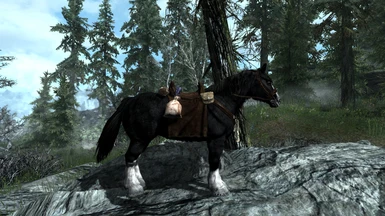 Custom Horse: Nightshade