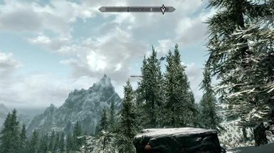Watching Alduin fly away shortly after escapin