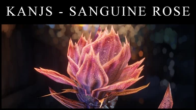 Kanjs - Sanguine Rose Animated
