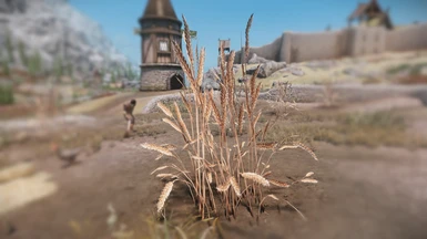 Wheat Replacer - Gluten-Free Grainless Crop Ultra Realistic - 2K LE