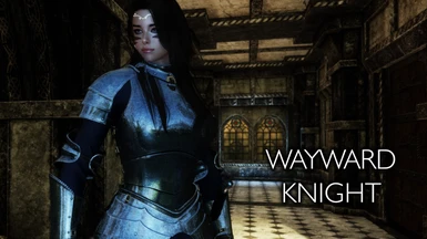 Wayward Knight Set - LE by Xtudo
