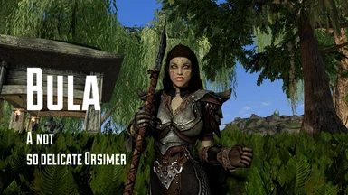 Bula - A (Not So) Delicate Orsimer (Custom Fully Voiced Follower) LE