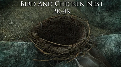 Bird and Chicken Nests 2K-4K