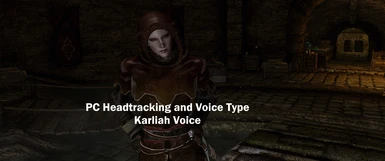 PC Headtracking and Voice Type - Karliah