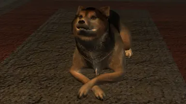 Doge Cheems inspired Dog Laying Sitting Animation Replacer