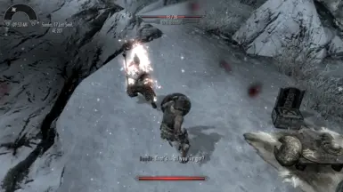 Steel Shield of Embers vs a bandit.