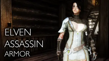 ELLE - Elven Assassin - My version LE by Xtudo - CBBE UNP