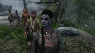 Adryn with Vanilla textures and outfit