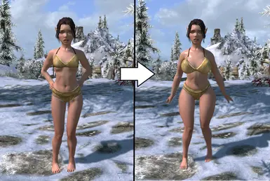 Women Body Replacer - CBBE Preset