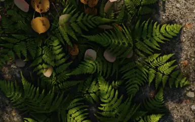 Green 2k