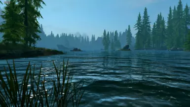 Default water type near Riverwood