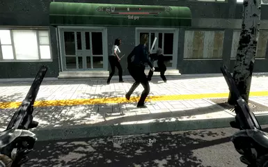 1.3.1 BIS