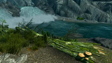 Old screenshot, before moss texture update