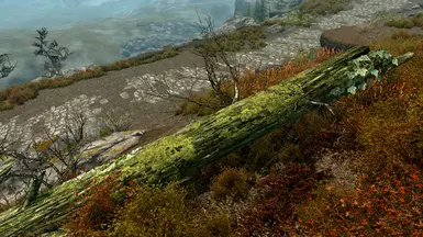 2k bark texture with new lichen texture