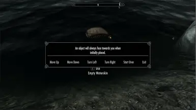 Waterskin placement