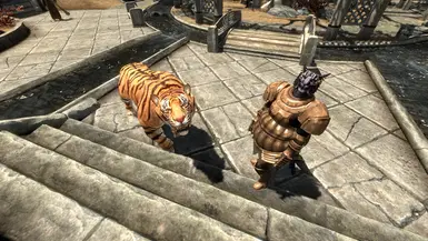 A Quick Startup For Wildcat And Legendary Runs