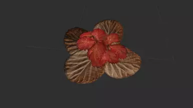 plants Eva01
