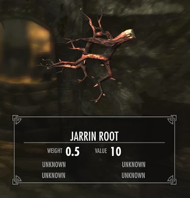 Jarrin Root