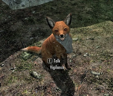 Vigilance as a fox