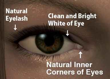 eye description