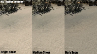 RIS-Real Ice and Snow Comparison Shot