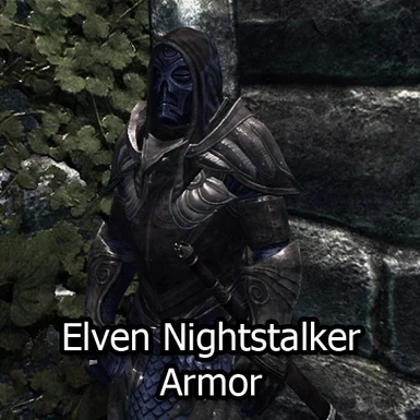 Elven Nightstalker Armor