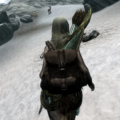 Backpack and Closer Quivers mod