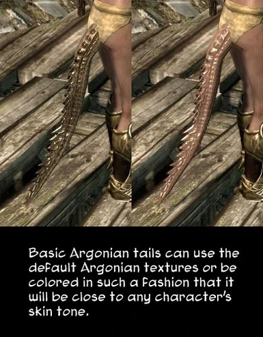 Two types of Argonian tails