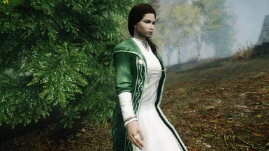 Forest Ranger Dress